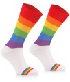 Pride_Light_1a.jpg