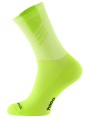 Lime.jpg