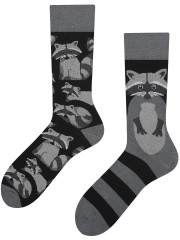 Szop, Todo Socks, Uroczy Szop Pracz, Kolorowe Skarpetki