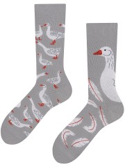 GĘŚ, Todo Socks, skarpety w gęsi, pióra, Kolorowe Skarpetki 