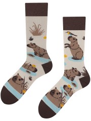 CAPYBARA, Todo Socks, Kapibara z jabłkiem, Kolorowe Skarpetki