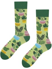 PLANTS, Todo Socks, Rośliny doniczkowe, Monstera, Kaktus, Kwiaty domowe, Kolorowe Skarpetki