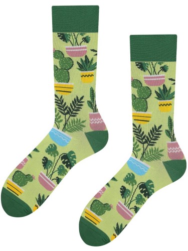 Plant_Flat.jpg