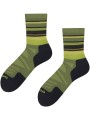 Forest_Green.jpg