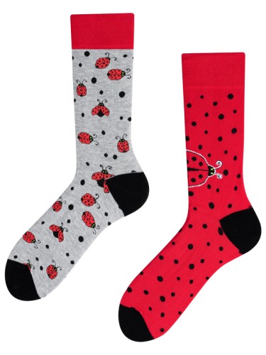 061_todo_ladybug_regular