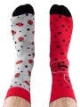 063_todo_ladybug_regular