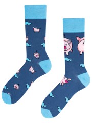 Little Piggy, Todo Socks, Wesoła Świnka, Świnie, Kolorowe Skarpety 