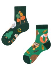 Forest Animals KIDS,  Todo Socks, Leśne Zwierzaki, Kolorowe Skarpetki 