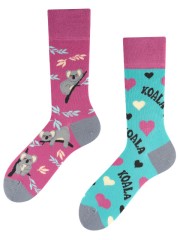 Koala, Todo Socks, Miś, Drzewa, Liście, Kolorowe Skarpety