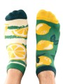 todo lemon low