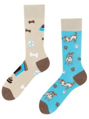 Jack Russel, Todo Socks, Piesek, Kości, Zabawki, Kolorowe Skarpetki