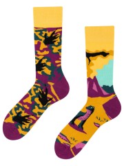 Dinozaur, Todo Socks, Gad, Zwierzę, Kolorowe Skarpetki