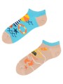 todo Summer Low