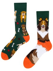 Dogs, Todo Socks, Pieski, Kości, Kolorowe Skarpetki