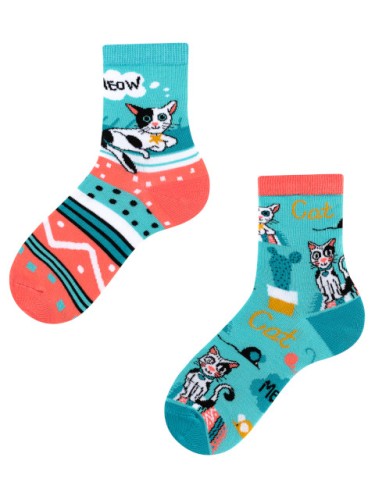 todo Cats kids