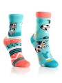 todo Cats kids-1