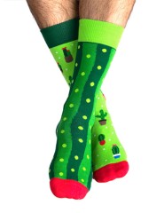 Skarpety kolorowe z serii X-press Yourself Sockulent