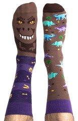 Kolorowe skarpetki serii Happy Friends T-Sox