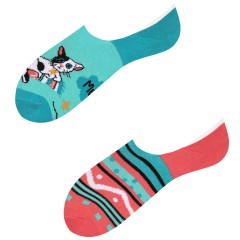 Mikrostopki, Cats, Todo Socks, Kot, Kaktus, Kolorowe Skarpetki