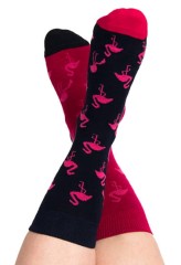  Skarpety kolorowe z serii X-press Yourself Flamingos
