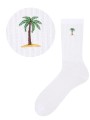 Tropical_2.png