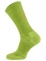 Black_Peak_Lime.jpg