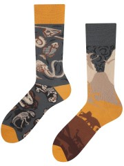 Prehistoria Todo Socks, Wykopaliska, Dinozaury, Kolorowe Skarpetki